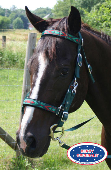 Derby Padded Nylon Halter Bridle Combo with Reins Aztec Design Banner