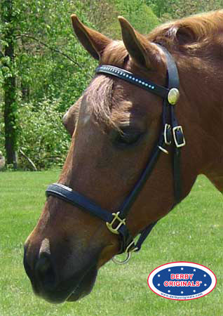Derby Rhinestone Halter Bridle Combo with Reins