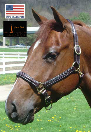 American Elite Fancy Stitch Padded Adjustable Halters blue color