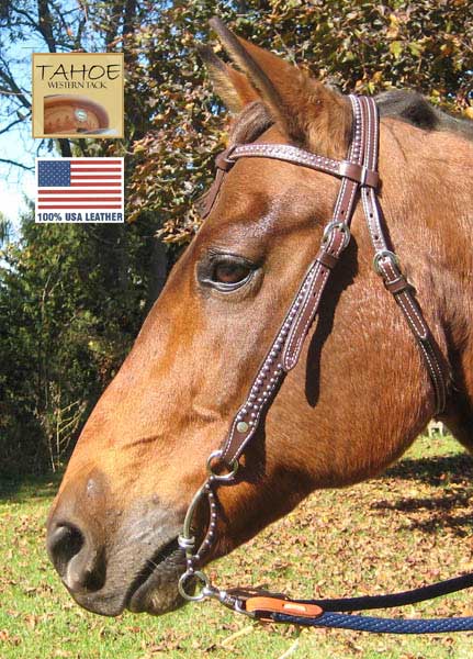 Tahoe Red River Spotted Knotted Headstall USA Leather Banner Image