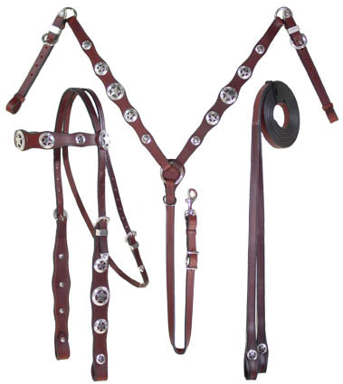 Patriotic Silver Star Concho Leather Western  Headstall, Breastcollar, and Reins Set
