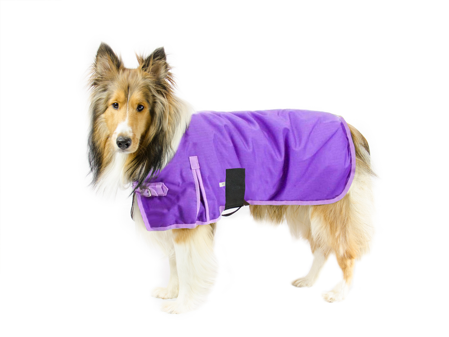 Horse-Tough 1200D Waterproof Ripstop Nylon Winter Dog Coat Purple main