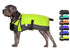 products/Horse-Tough_Dog_Coat_Extra_Large_Lime_Green_Swatch_80-8124V2.jpg