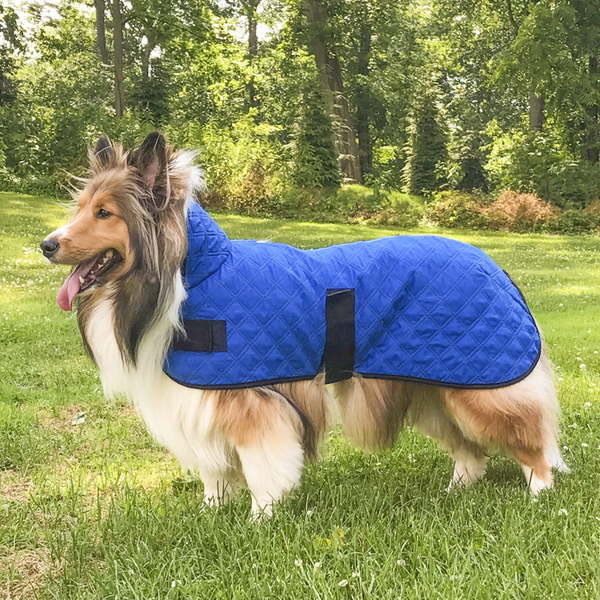 Derby Originals Hydro Cooling Dog Jacket with Harness Compatible Opening, Reflects Heat & Keeps Dogs Cool for up to 10 Hours