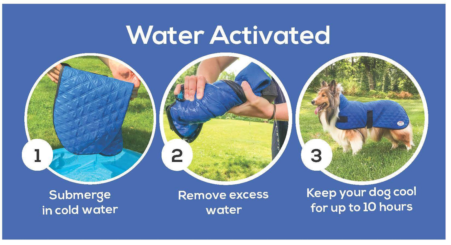 Derby Originals Hydro Cooling Dog Jacket with Harness Compatible  graphic