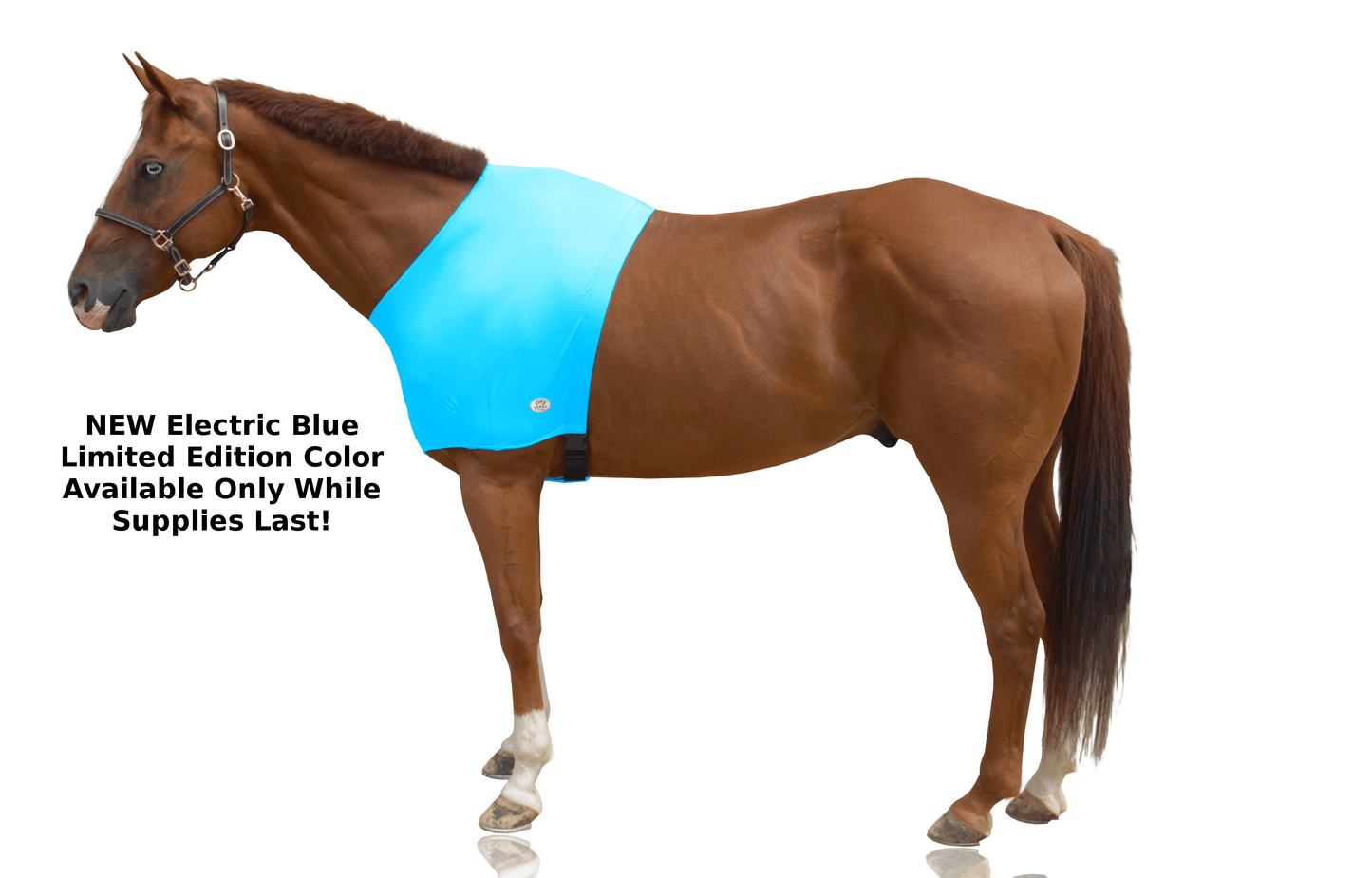 Derby Originals Comfy Stretch Lycra Sleazy Slicker Shoulder Guard New Electric