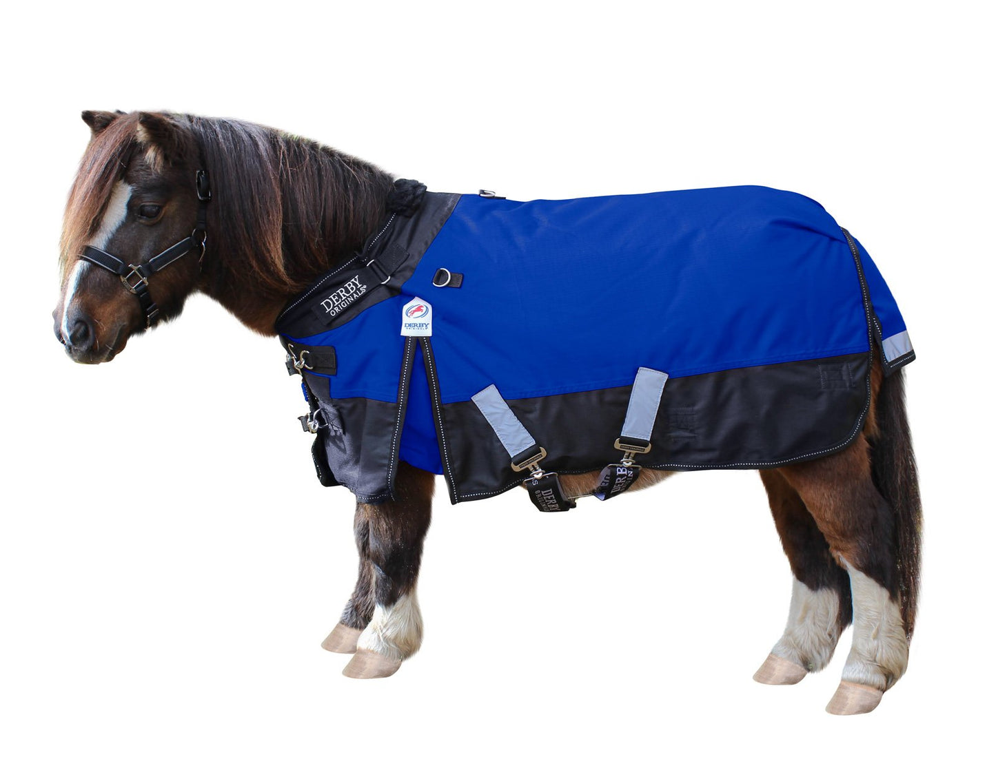 Medium Weight Winter Mini Horse Pony Turnout Blanket  Royal Blue