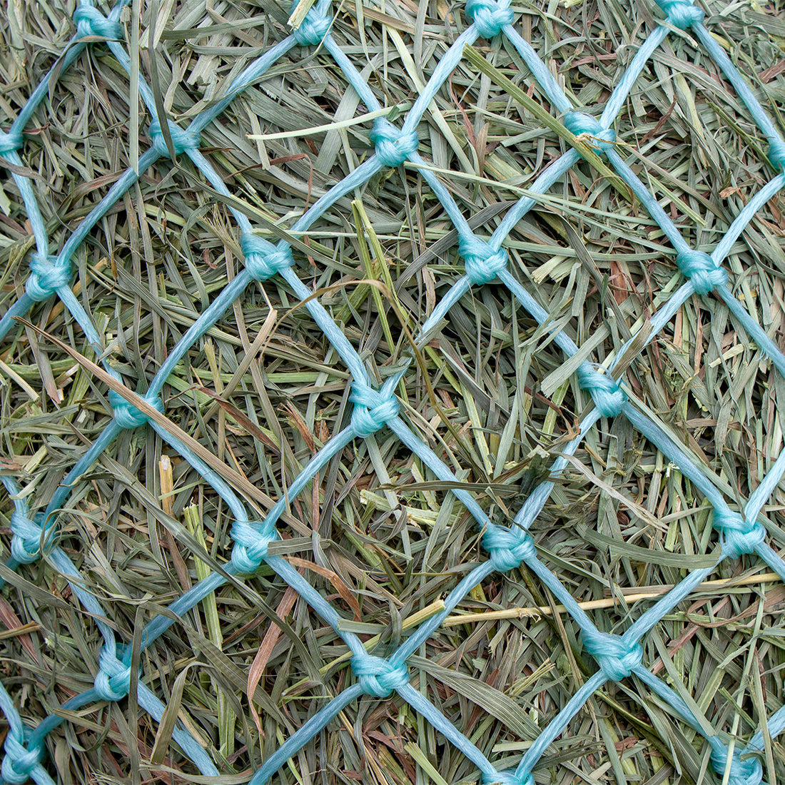 Hanging Hay Net for Horses and Livestock TQ