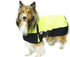 products/Two-Tone_Horse_Tough_Waterproof_Ripstop_Nylon_Winter_Dog_Coat_Lime-Green_Main_80-8124.jpg