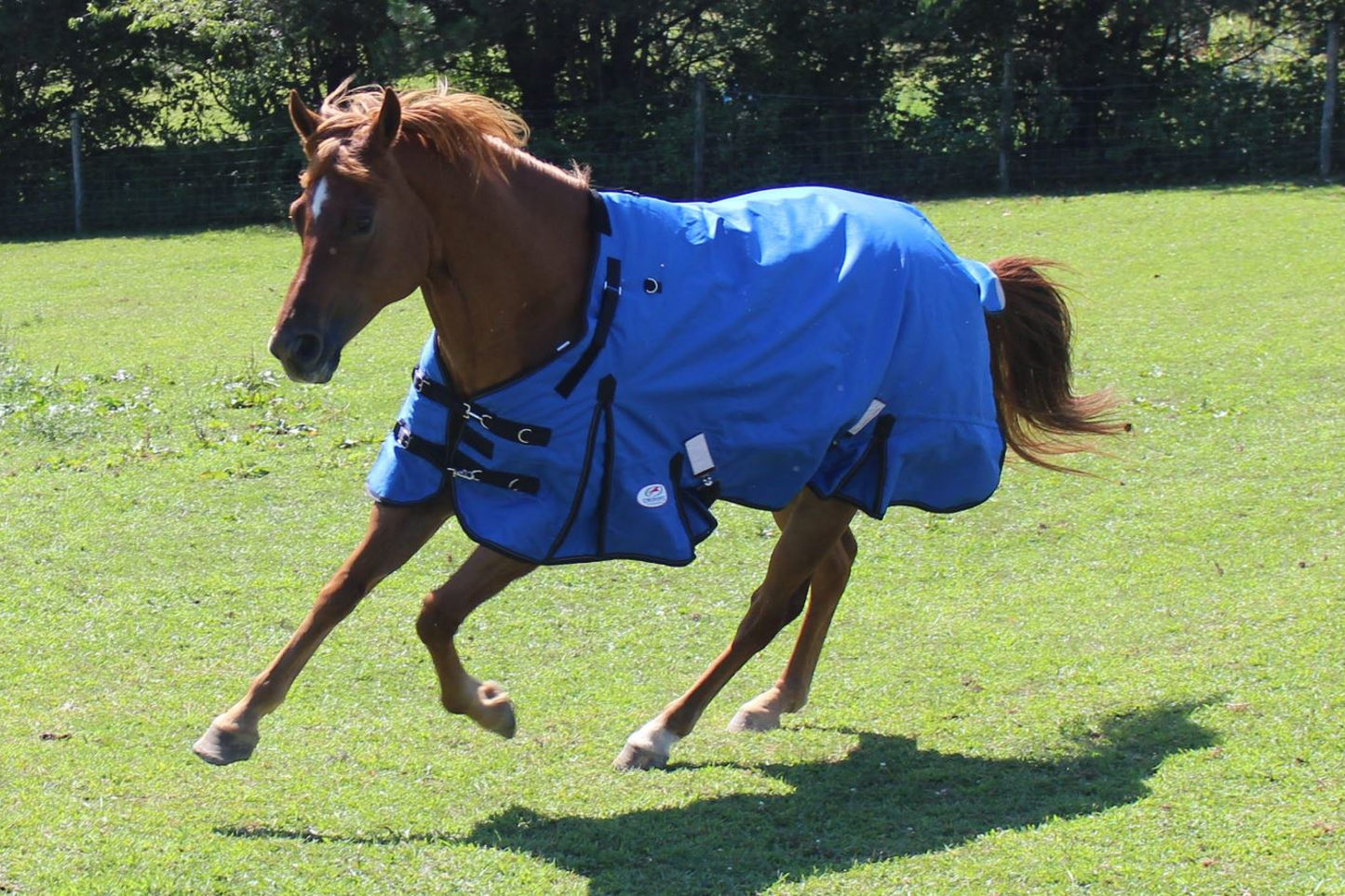 Derby Originals Nordic Tough 1200D Ripstop Waterproof Reflective Winter Horse Turnout Blanket Blue