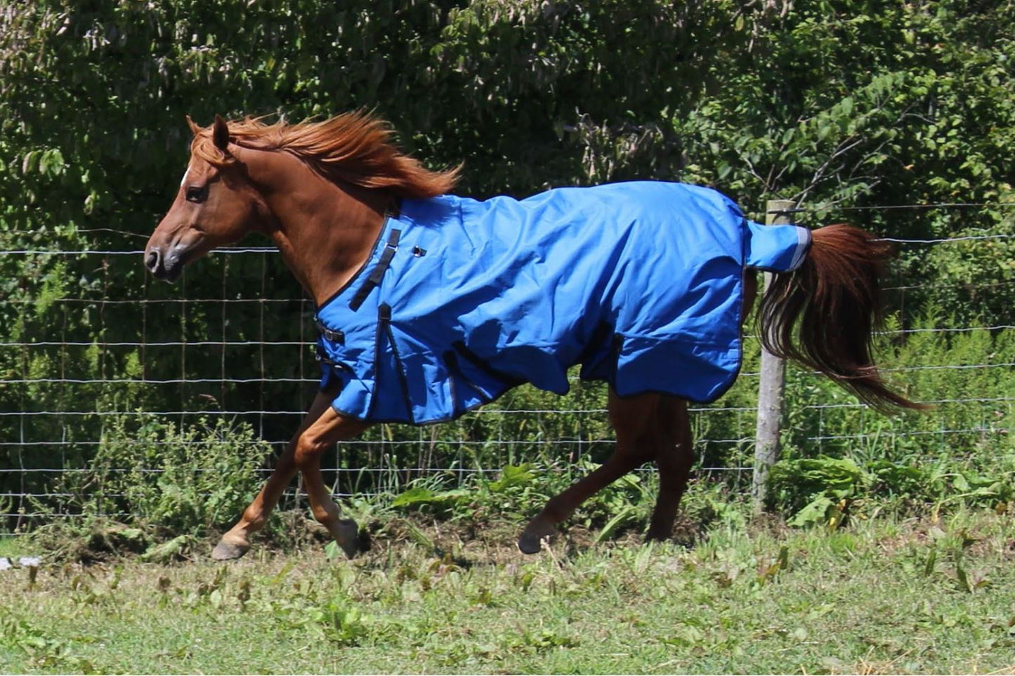 Derby Originals Nordic Tough 1200D Ripstop Waterproof Reflective Winter Horse Turnout Blanket Lifestyle