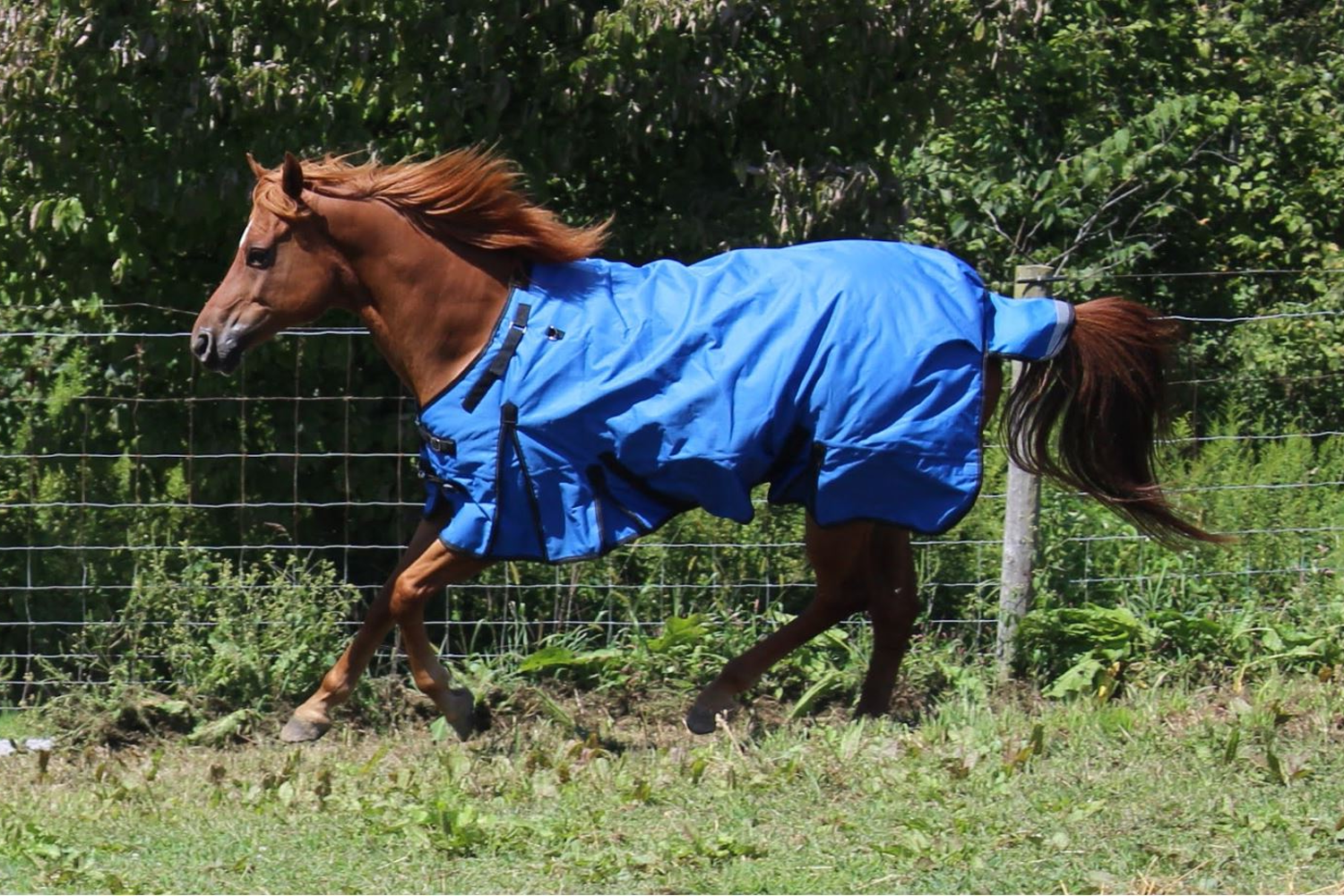 Derby Originals Nordic Tough 1200D Ripstop Waterproof Reflective Winter Horse Turnout Blanket Lifestyle