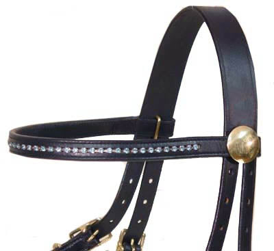 Derby Rhinestone Halter Bridle Combo with Reins