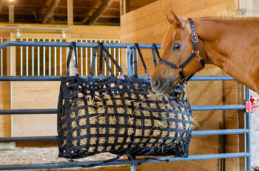 How to Choose the Best Hay Bags for Horses – A Complete Guide