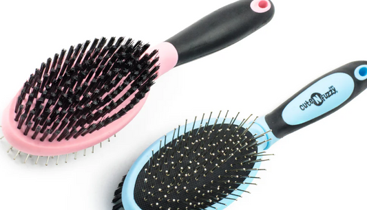 Why Dog Grooming Is Important and How the Right Tools Make It Easy