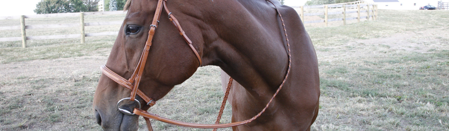 Bridles