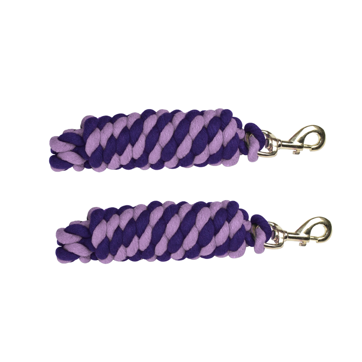 Derby Originals Lot of 2 Striped Multicolor 10’ Cotton Lead Ropes  with Rust Proof Brass Snaps