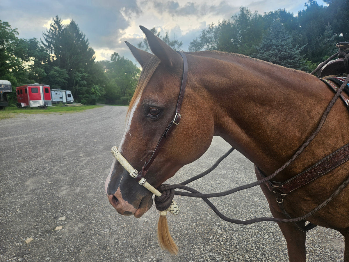 Tahoe 5/8" Natural Rawhide Braided Bosal with Rawhide Core & Leather Hanger Versatile Horse Training Gear with Classic Design & Comfortable Fit Brown / Tan