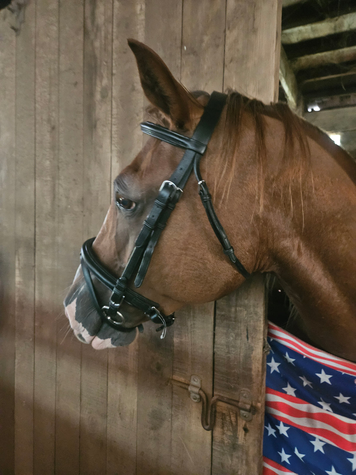 Paris Tack Dressage Crank Bridle with Flash and Rubber Reins