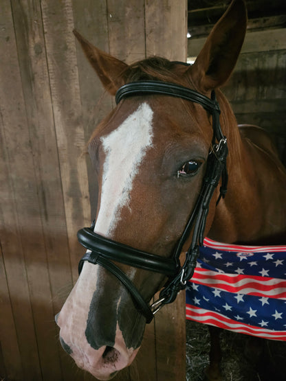 Paris Tack Dressage Crank Bridle with Flash and Rubber Reins