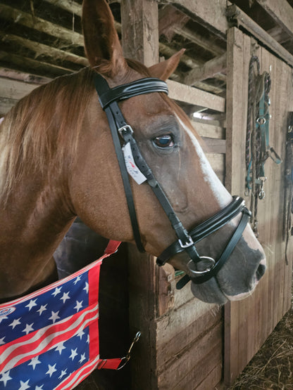 Paris Tack Macmillan Dressage Leather English Bridle with Laced Reins and 1 Year Warranty
