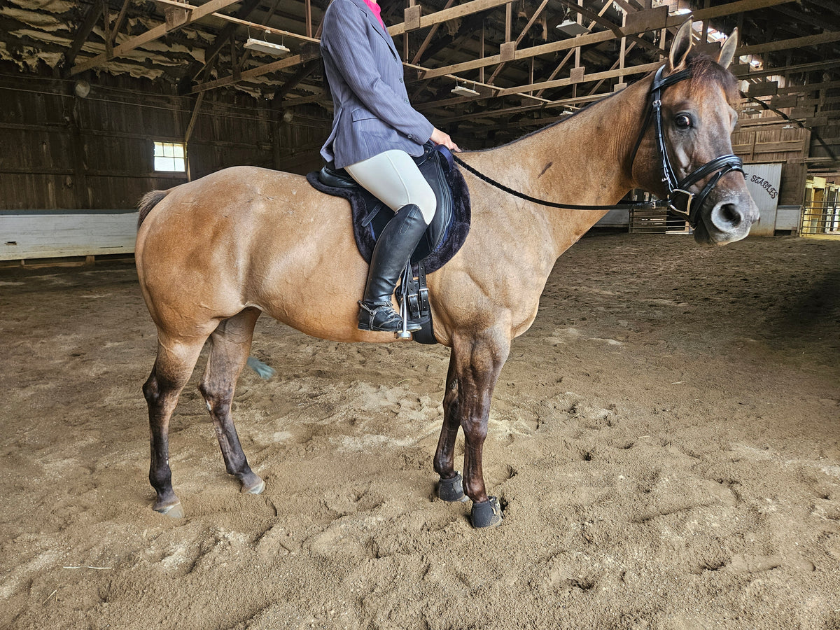 Derby Originals Shaped Wither Relief Dressage English Saddle Pad with Fleece Edging and Contoured Design