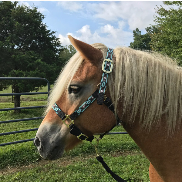 Derby Originals Patterned Nylon Adjustable Horse Halters with Matching 10’ Lead - 6 Month Warranty