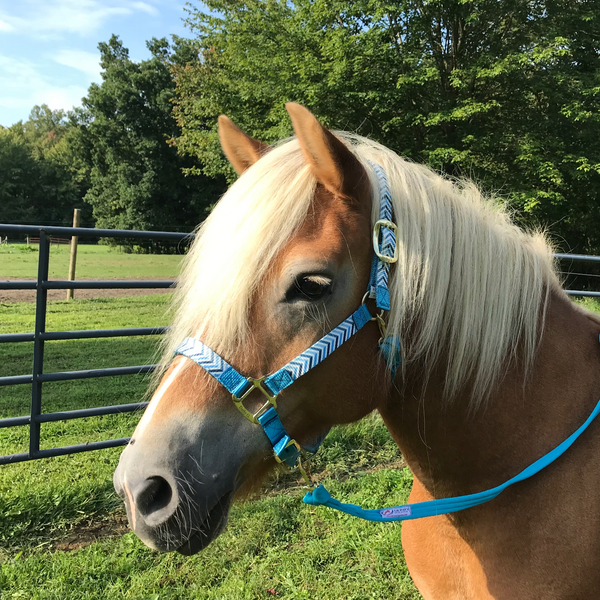 Derby Originals Patterned Nylon Adjustable Horse Halters with Matching 10’ Lead - 6 Month Warranty