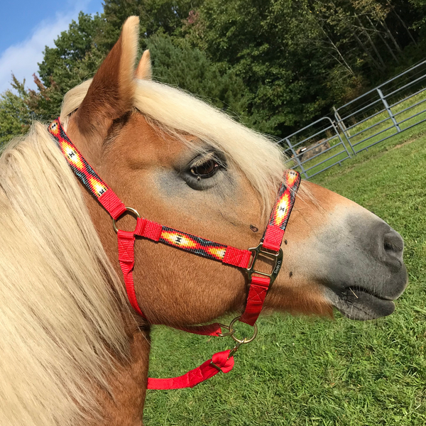 Derby Originals Patterned Nylon Adjustable Horse Halters with Matching 10’ Lead - 6 Month Warranty