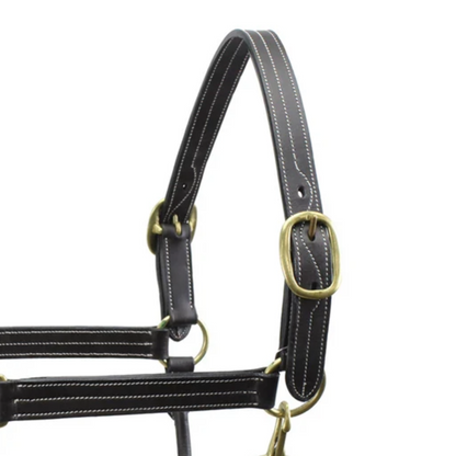 Double Layer Premium Leather Adjustable Horse Halter 