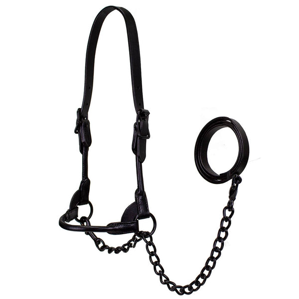 Derby Midnight All Black Premium Round Rolled Leather Cattle Show Halter with Matching Chain Lead  - One Year Limited Manufacturer’s Warranty