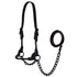 Derby Midnight All Black Premium Round Rolled Leather Cattle Show Halter with Matching Chain Lead  - One Year Limited Manufacturer’s Warranty