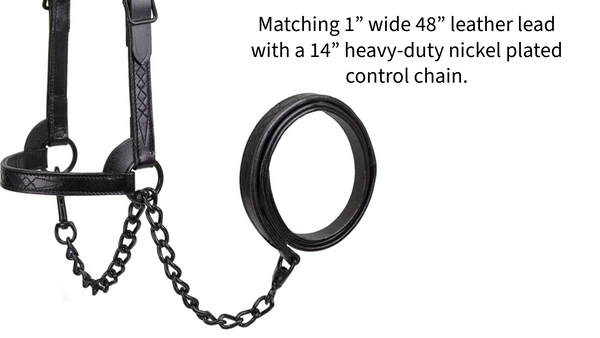 Derby Midnight All Black Premium Flat Fancy Stitch Leather Cattle Show Halter with Matching Chain Lead  - One Year Limited Manufacturer’s Warranty
