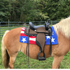 files/61-1512-PAT-on-horse_4c70a9ab-4561-4488-b48c-b5e62a224b6f.png