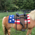 files/61-3002-PAT-on-horse_6253c59e-8929-4960-86ad-b09203c937ef.png