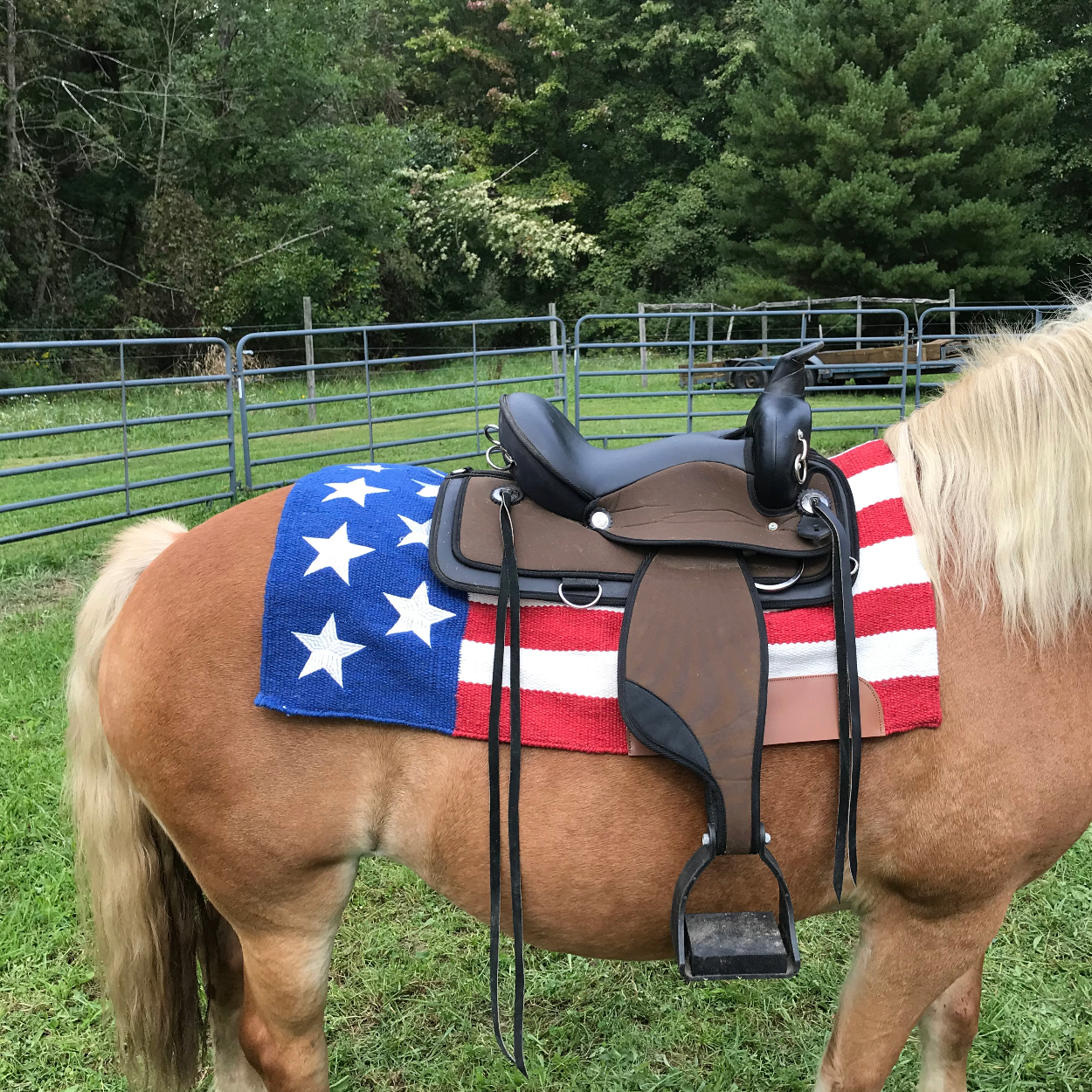Pony western saddle 2025 pad
