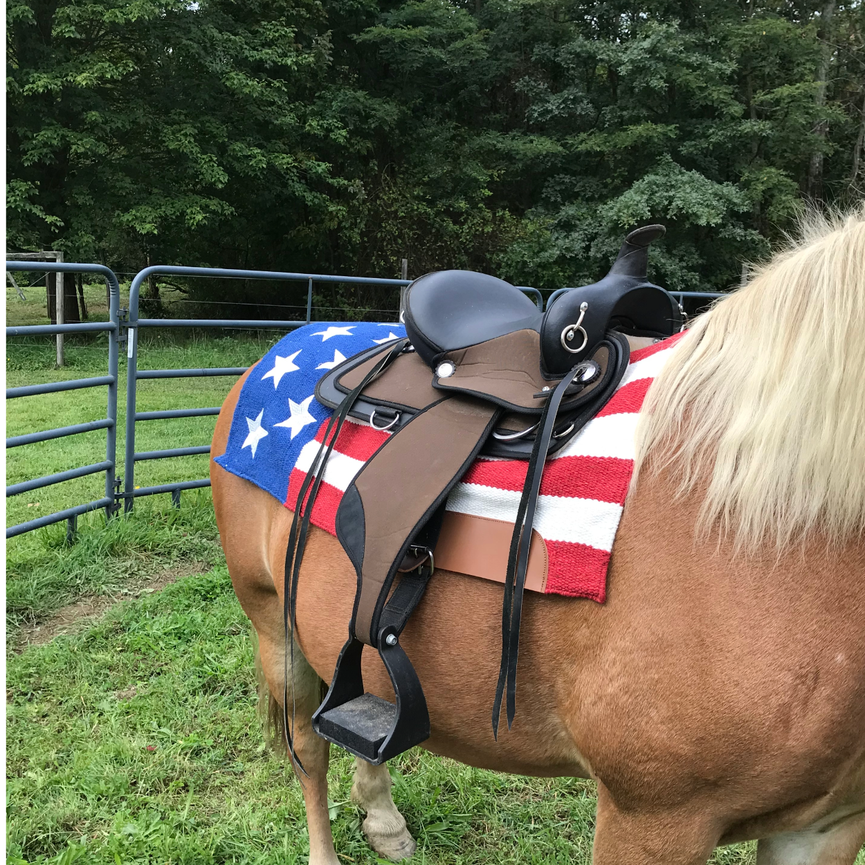 New Zealand Wool Western Saddle Blanket