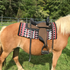files/61-3021-RED-on-horse.png