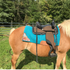 files/61-3030-TRQ-with-saddle-on-horse.png