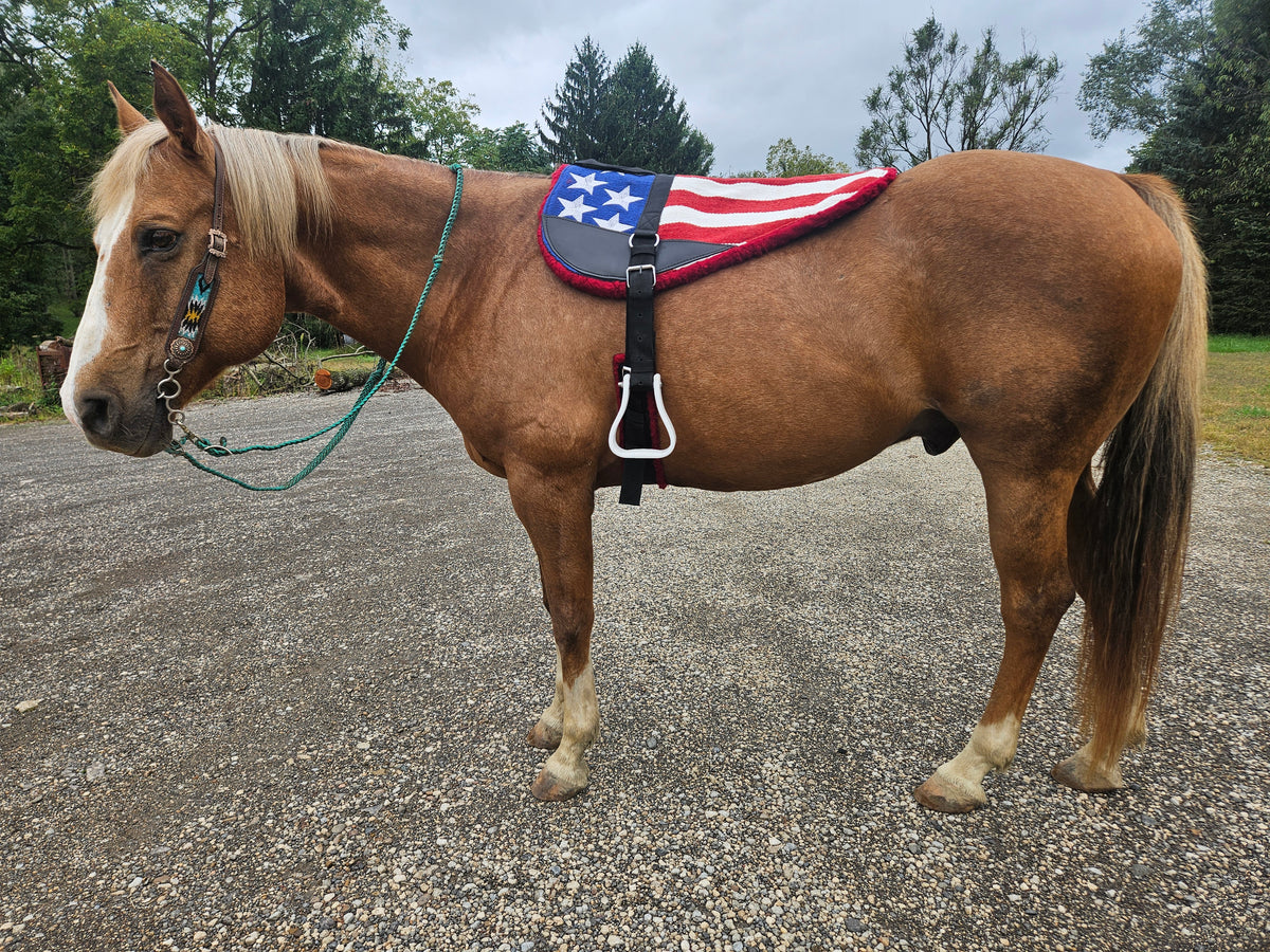 Tahoe Tack American Flag NZ Wool Upper Bareback Pad with Reinforced Stirrups and Girth