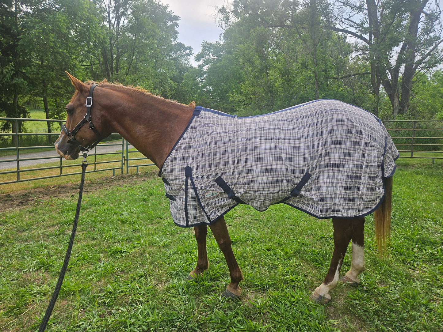 Paris Tack Navy Beige Plaid Horse Stable Sheet with Front Gussets, Lightweight Polyester Sheet for Horses, Travel, Stable & Show Use