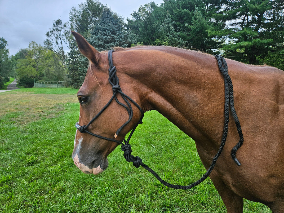 Tahoe Tack Copper Tip Series Braided Rope Horse Halter – Navajo Beaded Noseband, Cowboy Knots, with 10 Ft Lead & 1-Year Warranty
