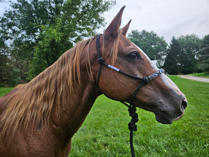 Tahoe Tack Copper Tip Series Braided Rope Horse Halter – Navajo Beaded Noseband, Cowboy Knots, with 10 Ft Lead & 1-Year Warranty
