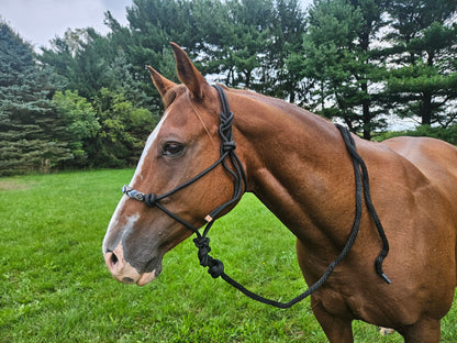 Tahoe Tack Copper Tip Series Braided Rope Horse Halter – Navajo Beaded Noseband, Cowboy Knots, with 10 Ft Lead & 1-Year Warranty