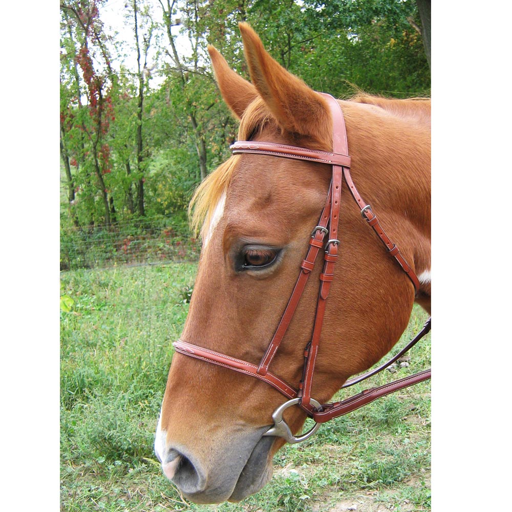 Double Fancy Round Raised Double Fancy Stitch Bridle w/ matching Laced Reins - Pari ...