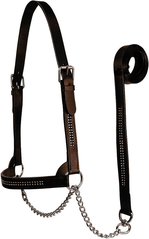 New & Improved Premium Crystal Bling Rhinestone Inlay Flat Leather Cattle Show Halter with Chain Lead   - One Year Limited Manufacturer’s Warranty