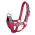 files/Halter-Training-Sheep-GRF-9031-Clean.jpg