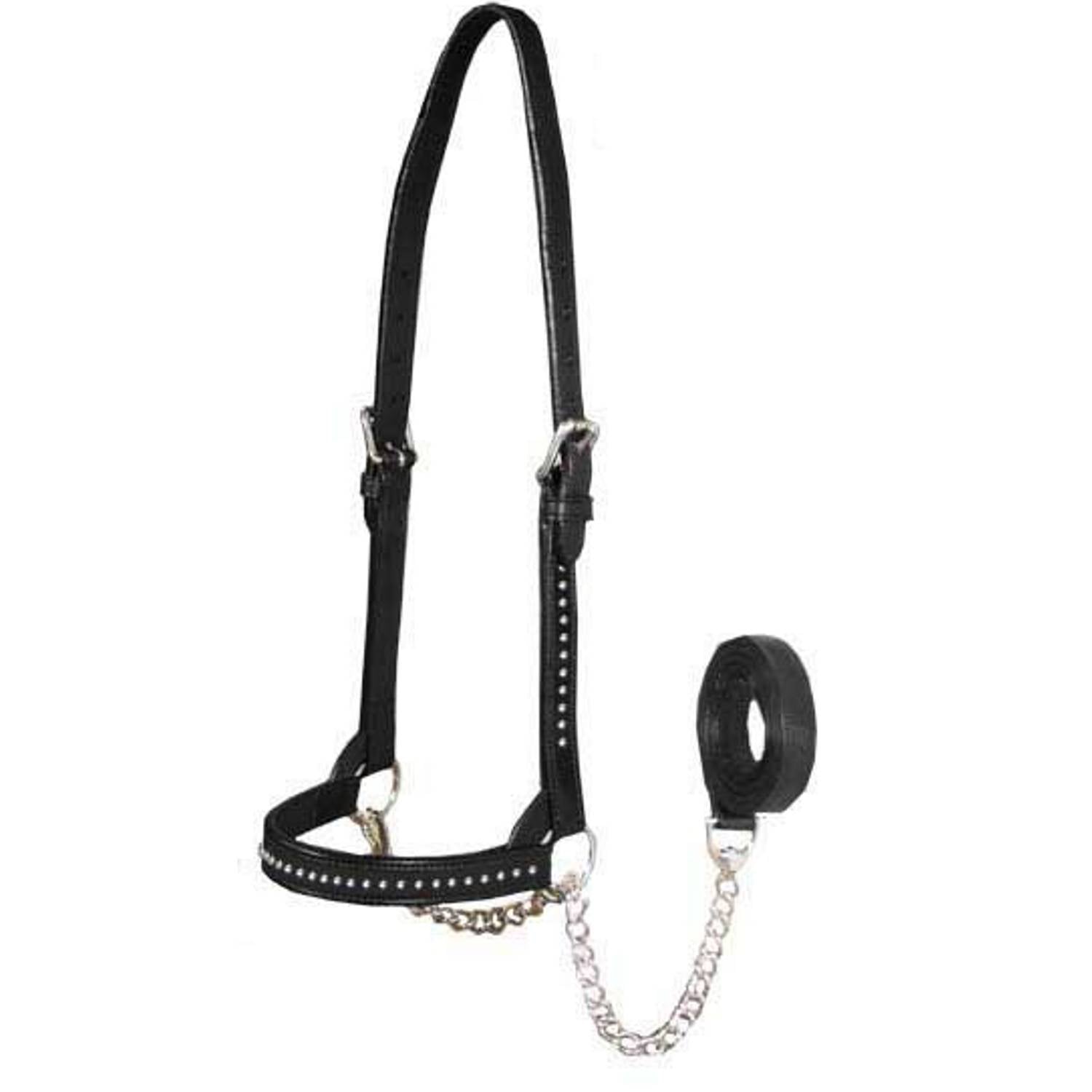 Premium Show Spotted Flat Leather Cattle Show Halter