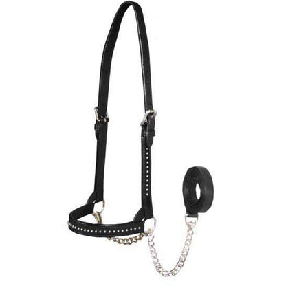 Premium Show Spotted Flat Leather Cattle Show Halter