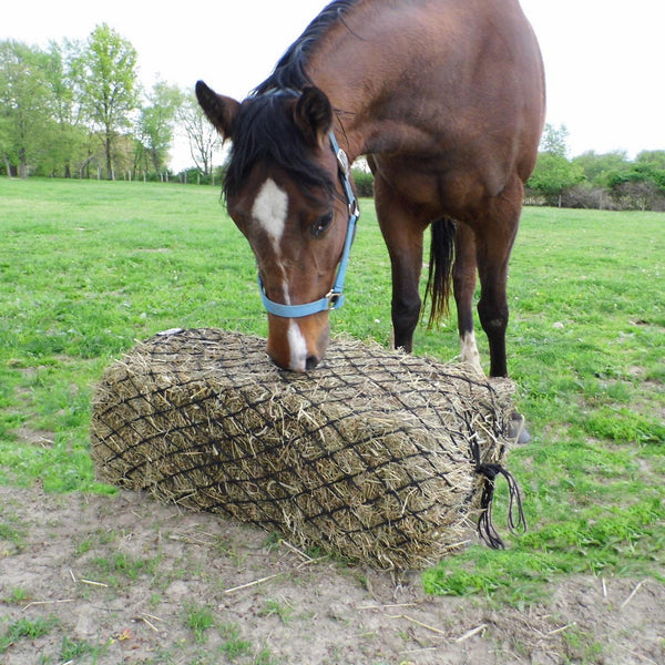 Derby Originals 90” Giant Slow Feed Hanging Hay Net for Horses